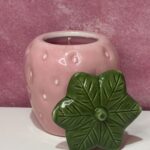 Φράουλα – Γαλλική βανίλια