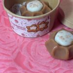 Λυχναράκια waxmelts