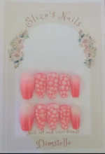 Press on nails