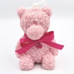 Love bears
